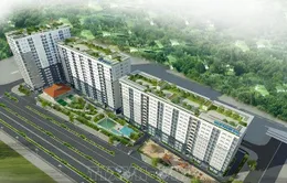 Cảnh giác lừa đảo làm hồ sơ mua nhà ở xã hội