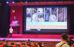 Hướng tới loại bỏ bệnh dại và nạn buôn bán, giết mổ chó mèo tại Việt Nam