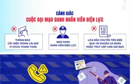 Gia Lai: Giả nhân viên điện lực, lừa đảo hàng trăm triệu đồng