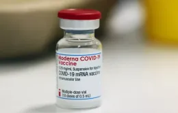 Bê bối mới của hãng Moderna do vi phạm quy định tiêm vaccine ngừa COVID-19