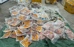 Thực phẩm "bẩn", không rõ nguồn gốc ngập các kho hàng ở Thái Nguyên