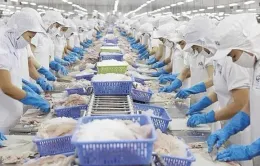 Xuất khẩu tôm tiếp tục tăng cao