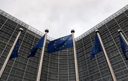 Ukraine đàm phán với Hungary về gia nhập EU