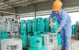 Giá gas bán lẻ trong nước tháng 5 ổn định