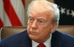 Tổng thống Trump: Các cuộc đàm phán đang diễn ra tích cực