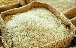 Dự trữ gạo của Indonesia đạt mức cao kỷ lục