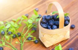 Vì sao việt quất được gọi là “Vua của các loại quả mọng”?