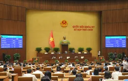 Chủ tịch Quốc hội làm Chủ tịch Ủy ban dự thảo sửa đổi, bổ sung một số điều của Hiến pháp
