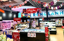 Lễ hội bò Canada 2025 - Cơ hội vàng để chọn bò nhập khẩu ngon, giá hợp lý
