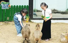 Con gái Quách Ngọc Tuyên và em bé Điện Biên "đốn tim" khán giả khi tham gia Hành trình tập sự