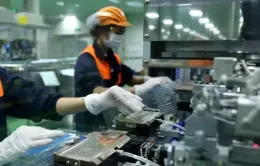 Gần 4.800 doanh nghiệp tại Hà Nội hoạt động trở lại
