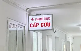 Cụ ông suýt mất mạng vì vết cắn nhỏ khi đi rừng