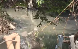Hà Nội: Dự án chậm, mương thành "ổ rác", dân sống chung với ô nhiễm