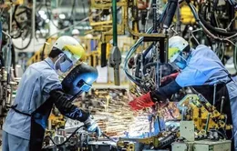 Bộ Chính trị: Kinh tế tư nhân là động lực quan trọng nhất của nền kinh tế