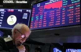Chỉ số S&P 500 dứt chuỗi tăng dài nhất trong 20 năm