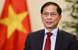 Nguyên tắc đối ngoại của Việt Nam là bảo đảm cao nhất lợi ích quốc gia - dân tộc