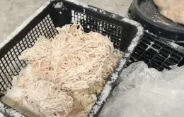 Thái Lan bắt giữ hàng chục tấn lòng lợn bẩn nhập lậu từ Trung Quốc