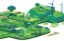 Đầu tư xanh từ khu vực tư nhân ở Việt Nam đạt 161 triệu USD