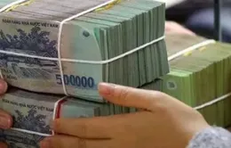 Quy định mới phát hành chứng chỉ tiền gửi trong nước của tổ chức tín dụng