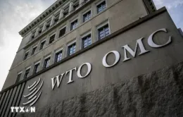 Việt Nam tham gia các phiên họp về phòng vệ thương mại tại WTO
