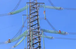 Đảm bảo truyền tải điện mùa khô 2025 cho các tỉnh miền Trung - Tây Nguyên