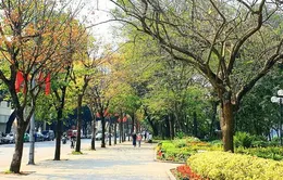 Từ ngày 10/5, nắng nóng diện rộng sẽ kết thúc ở Bắc Bộ và Trung Bộ