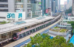 Doanh nghiệp Hong Kong (Trung Quốc) tìm hướng đi mới do thuế quan