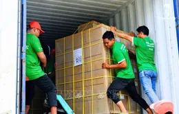 Xuất khẩu chính ngạch đường hoa dừa hữu cơ sang Mỹ