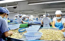 Xúc tiến thương mại: Đa dạng "kênh" mở rộng thị trường