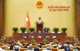 Ngày 10/5, Quốc hội thảo luận về dự án Luật Quảng cáo