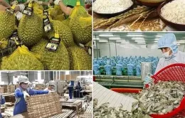 Bảo đảm sản xuất, tiêu thụ, xuất khẩu nông, lâm, thủy sản