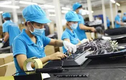 Đề xuất viên chức được thành lập và quản lý doanh nghiệp