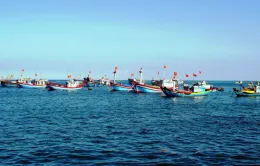 Bộ Nông nghiệp và Môi trường: Trung Quốc đơn phương cấm đánh bắt cá trên Biển Đông là không có giá trị