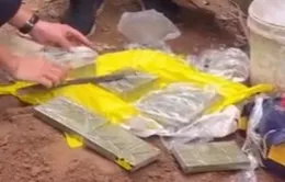 Bắt giữ thêm 3 đối tượng, thu 13 bánh heroin trong chuyên án ma túy liên tỉnh