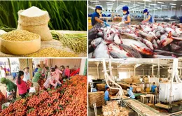 Bảo đảm sản xuất, tiêu thụ, xuất khẩu nông lâm thủy sản trong bối cảnh biến động thương mại toàn cầu