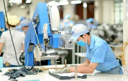Nghị quyết 68: Chất xúc tác đưa Việt Nam bước vào kỷ nguyên phát triển mới