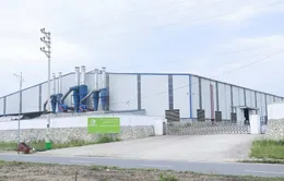 Một công ty ở Yên Bái bị phạt 320 triệu đồng do chưa có giấy phép môi trường