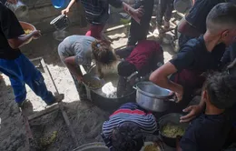 Israel tiếp tục phong tỏa, khủng hoảng đói lan rộng ở Gaza