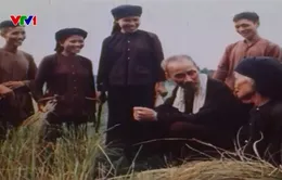 Chủ tịch Hồ Chí Minh - Trọn một đời vì dân