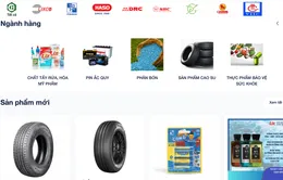 Thúc đẩy thương mại điện tử, xanh hoá trong ngành hoá chất