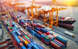 Thúc đẩy thương mại nông lâm thuỷ sản với Hoa Kỳ