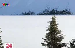 Trải nghiệm tuyến đường đẹp nhất Canada