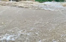 Mưa lớn diện rộng gây lũ trên toàn bộ hệ thống sông ngòi Lào Cai