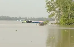 Qua mùa hạn mặn an toàn