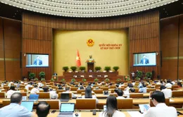 Ngày 13/5, Quốc hội thảo luận về dự án Luật Khoa học, công nghệ và đổi mới sáng tạo