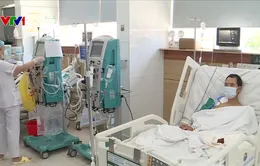 Nhiều người nguy kịch vì sơ cứu sai khi bị rắn cắn