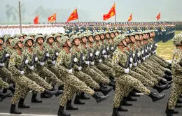 Chính phủ yêu cầu chuẩn bị tổ chức Lễ diễu binh, duyệt binh dịp Quốc khánh 2/9