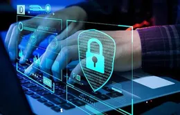 Dữ liệu cá nhân trong kỷ nguyên AI: AI đang khai thác và kiếm lời từ thông tin của bạn?