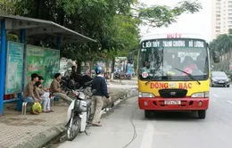 Nghệ An chuyển đổi sang xe điện đối với xe buýt, xe khách nội tỉnh