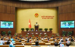 Ngày 15/5, Quốc hội thảo luận về dự án Luật Năng lượng nguyên tử (sửa đổi)
